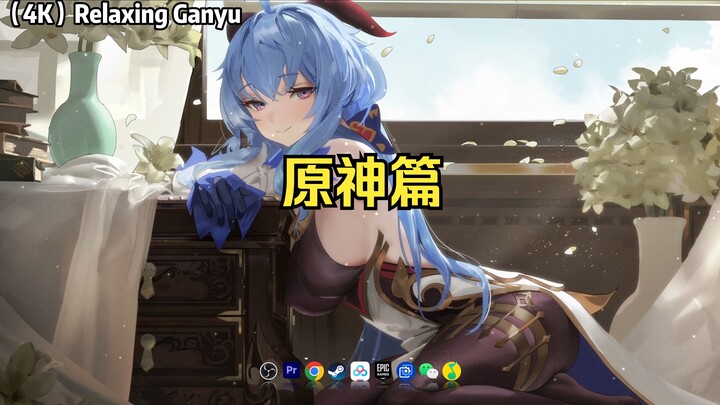 【Wallpaper Engine】壁纸推荐 原神篇