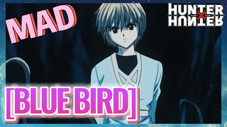 [BLUE BIRD] MAD
