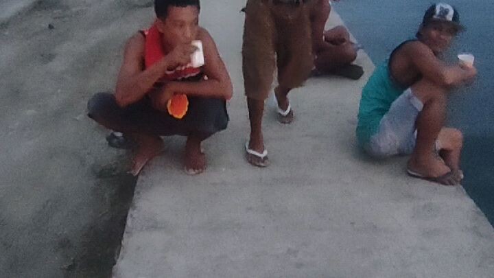 Buhay byahero time rollo