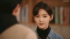 First Frost Episode 19 English Subtitles