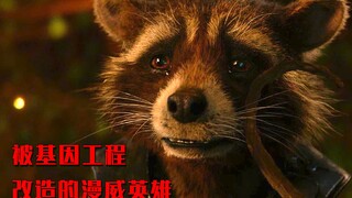 Rocket Raccoon trong Marvel mong manh đến mức nào? Cậu ấy đã mất đi hai người bạn thân và chỉ biết k