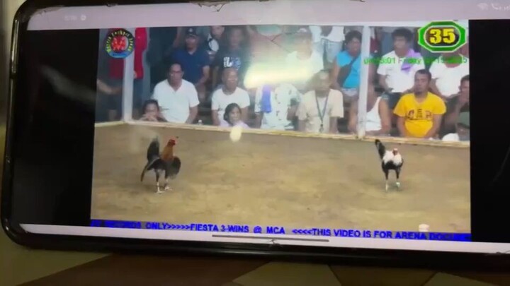 MCA fiesta 3wins.     lose