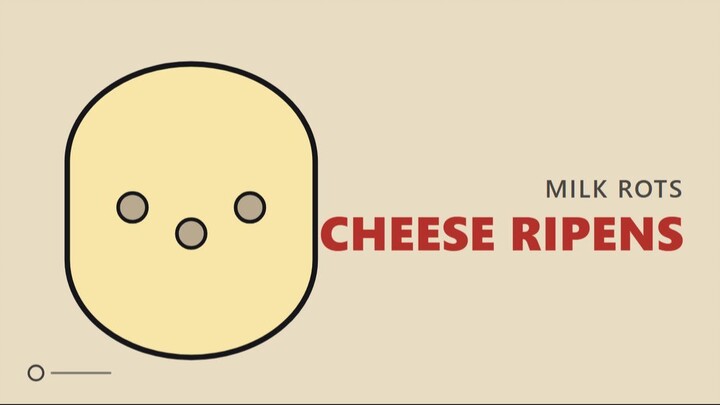 Milk Rots. Cheese Ripens. What Is the Difference?