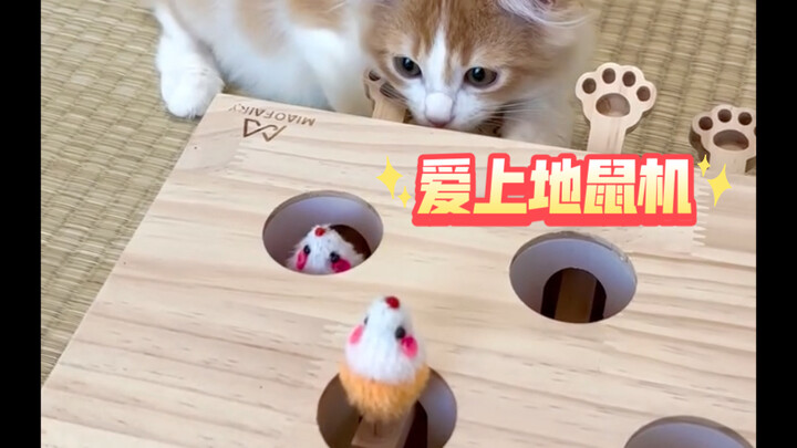 When Cats Learn to Use Game Consoles