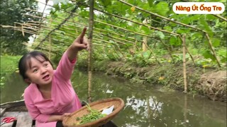 Nàng Út Ống Tre cùng mẹ đi ruộng thăm vườn mướp sau bao ngày  || Nàng Út Ống Tre