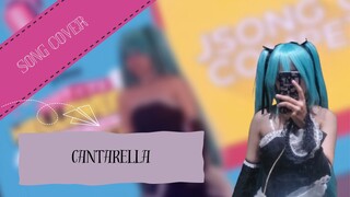 [COVER] Cantarella+Lyrics //KuroUsa-P