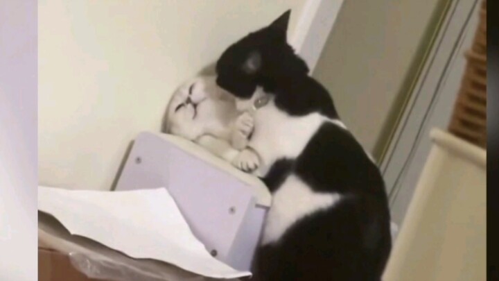 Anak di bawah umur dilarang menonton