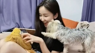 [Lou Yixiao] When I pretended to talk to other dogs, my dog went crazy...