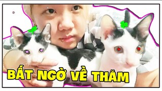 Mặp Doram VỀ THĂM BỐ MẸ VÀ BẤT NGỜ BÉ CỎ VÀ LÁ “ KHỔNG LỒ “