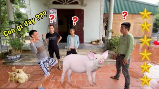 Sinh 09 Trận Chiến Với Team Săn Bắt Ẩm Thực Vùng Cao Đuổi Hình Bắt Chữ Đoán Con Vật Ngày Mưa Bão