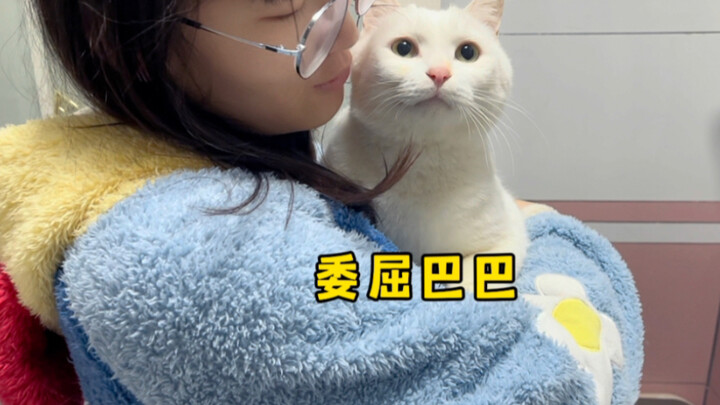I accidentally got chili oil on my cat’s head, and it snuggled into my arms, looking so forlorn.