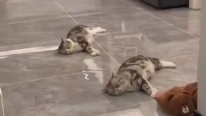 Không lên mecha thì tiếc quá