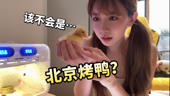 Đón em bé chào đời rồi! Mình sắp làm mẹ rồi! | Nhật ký ấp trứng của cô gái xinh đẹp