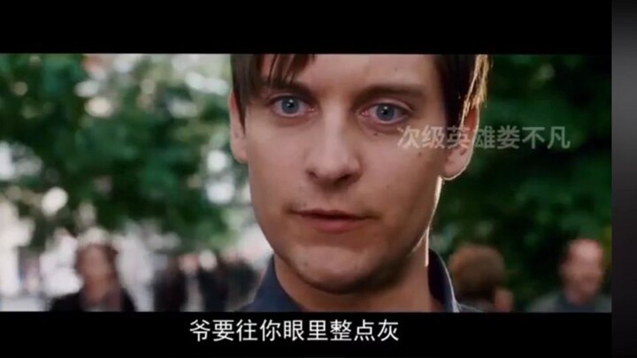 IP MAN VS JUSTICE LEAGUE