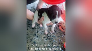 Sợ tui dơ, ko bồng đc chứ gì. Tui là tui biết hết chứ iu thương gì🐶khốngợchó độngchó béna chó_cưng