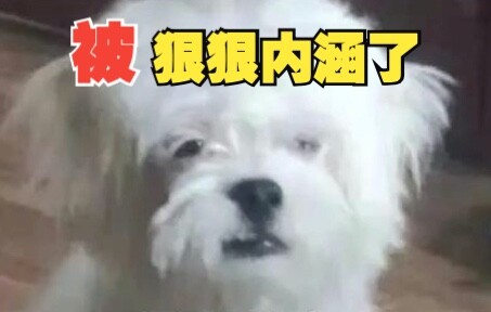 Nằm trên giường bị mắng một trận, đúng là bị châm chọc nặng quá rồi!