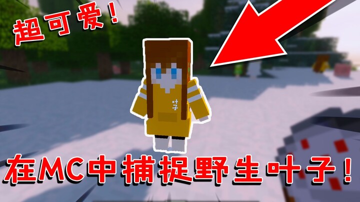 Minecraft: Mod do fan tự tạo! Hãy bắt một chiếc lá trong MC nhé!