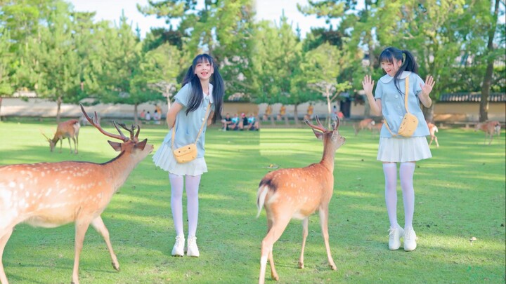 Chú ơi, chú có thể hát bài Little Deer không? Một điệu nhảy cover sau mười năm ~ [Ke Xin Miao]