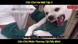 Chú Chó Hai Mặt Chỉ Biết Cắn Chủ Tập 5 - Cắn Chủ Không Thương Tiếc | Giải Trí Mỗi Ngày