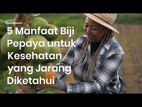 5 MANFAAT BIJI PEPAYA | Jarang Diketahui