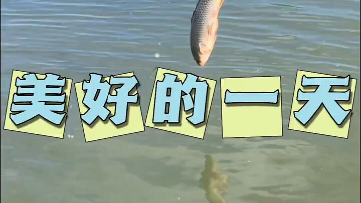 Hôm nay cá chép bơi lội tung tăng, mình thả hết về với thiên nhiên, mà thu hoạch cũng khá ổn đấy. #D