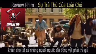 Review phim: Sự trả thù của loài chó #phimhaymoingay