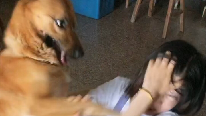 Kalau belum merasakan penderitaan anjing itu, jangan coba-coba nasihati dia untuk berbuat baik! Saat