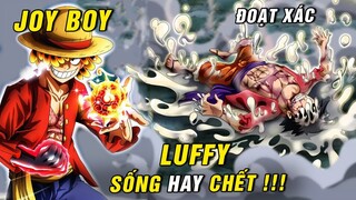 Luffy còn sống không , Joy Boy đoạt xác Luffy ? Đại hạm đội Mũ Rơm tiếp ứng [ One Piece 1043+ ]