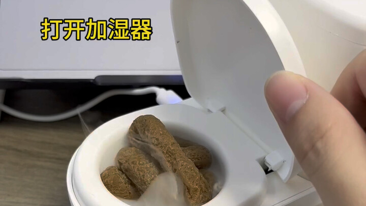 Another boring day has begun.