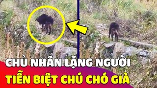 Xúc động khoảnh khắc người chủ 'ĐƯA TIỄN' chú Chó già của mình về nơi 'AN NGHỈ CUỐI CÙNG' 😥 Gâu Đần