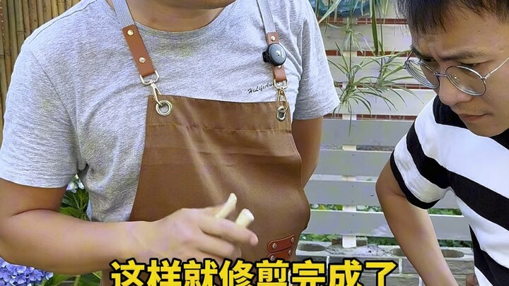 How to Prune a Rubber Plant