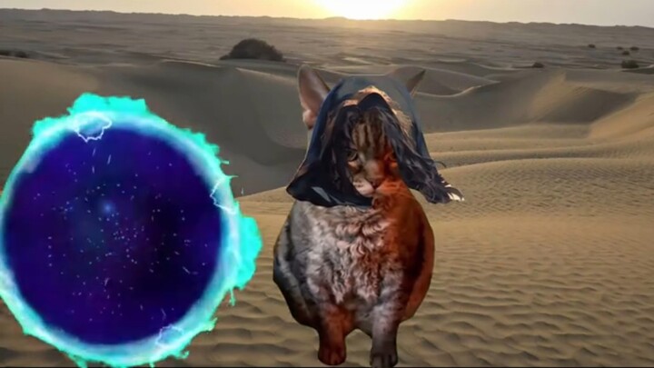 ฉันอาจจะไม่เคยจากไป