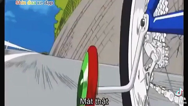 shin đua xe đạp