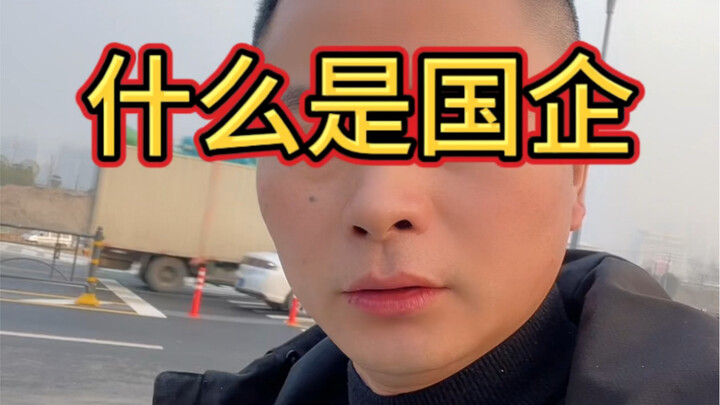 ما هي الشركات المملوكة للدولة على المستوى الوطني؟