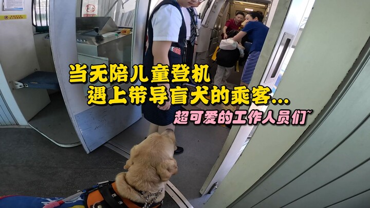 [Nuozi] What happens when unaccompanied children and guide dogs board a plane together?