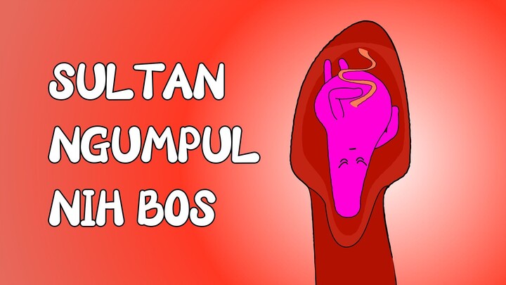 KOMPILASI LAHIRNYA PARA SULTAN