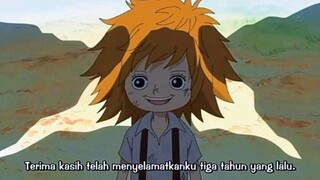 momen tersedih one piece || koala bocah tertegar