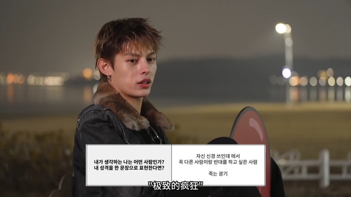 【Zhao Yufan James】“2024 Newcomer Group Interview.xlsx” Cortis James CUT | Chinese Subtitles by Fan B