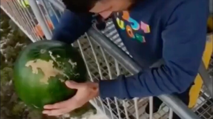 Sifat elastis yang ajaib: Ternyata Si Semangka nggak hancur, malah memantul ke atas!