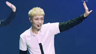 【EXO/中字】全网最清晰《蝴蝶少女/Don't go》4K超高清收藏级现场