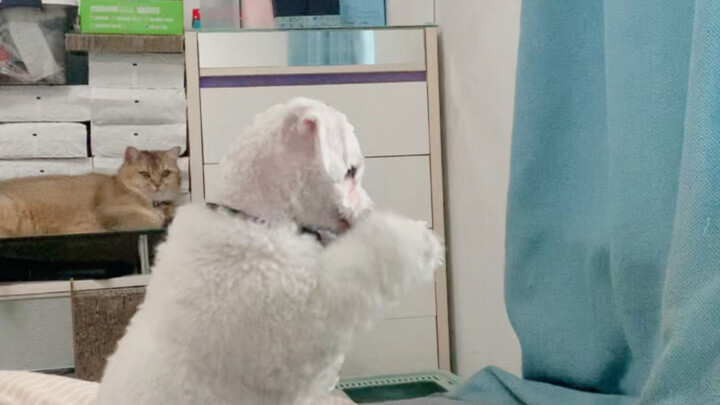 Before the Haircut, After the Haircut