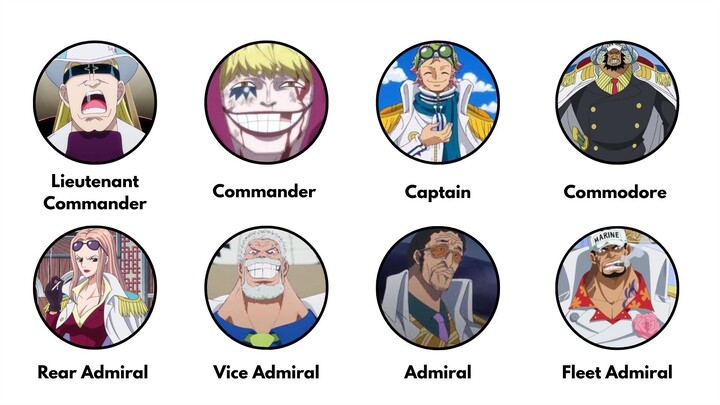 Semua pangkat Marine di One Piece dalam 4 menit