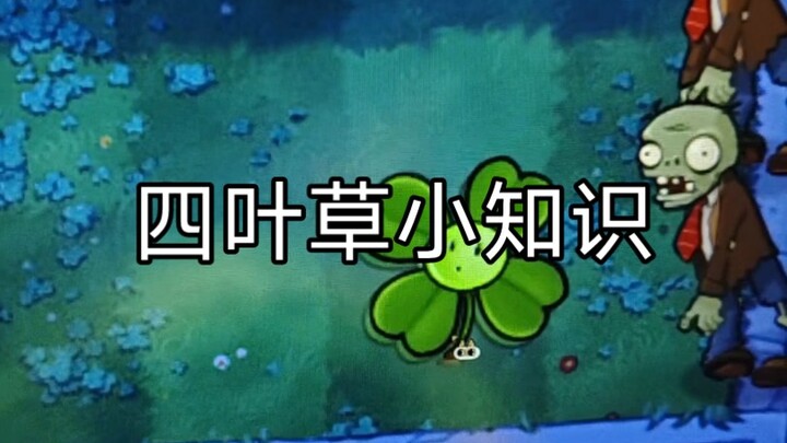 四叶草的妙用