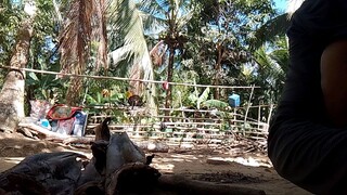 Sipag ang daan sa paglago at pag-unlad.
