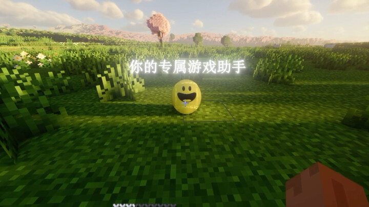 Khi tôi gặp Verity