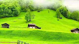 View now