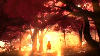 胡桃: 尽管我们的生活匆忙，请别轻易错过日落和夕阳。