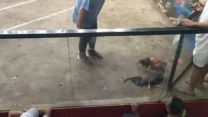 talo SCA 6/5/26  kung nakalusot double champ sana