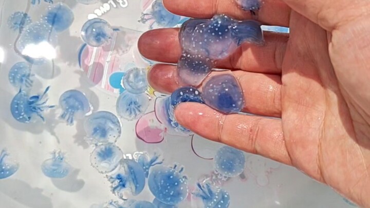 Dậy sớm phơi sứa nào, ư ư!