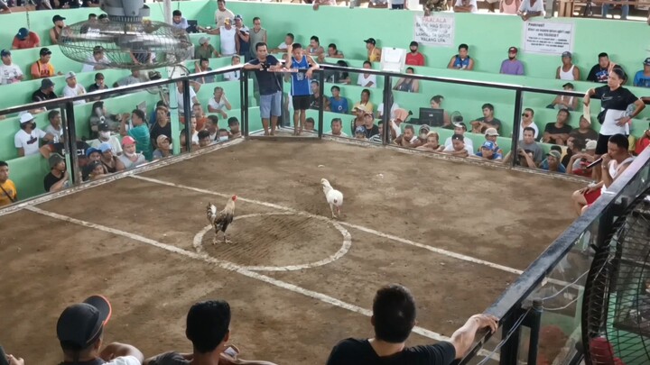 2 hits ulutan champion dalawang bulik ganda ng nilaro